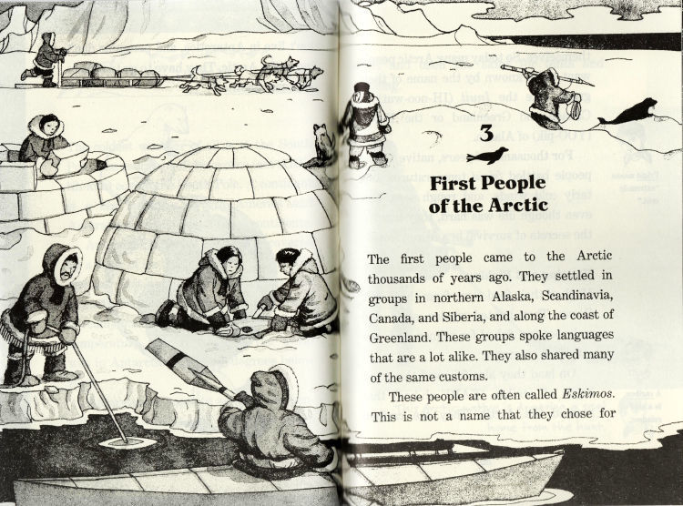 40-Books-Set-of-Magic-Tree-House-Sportswear-Original-English-Reading-Encyclopedia-of-Children-s-Books-4