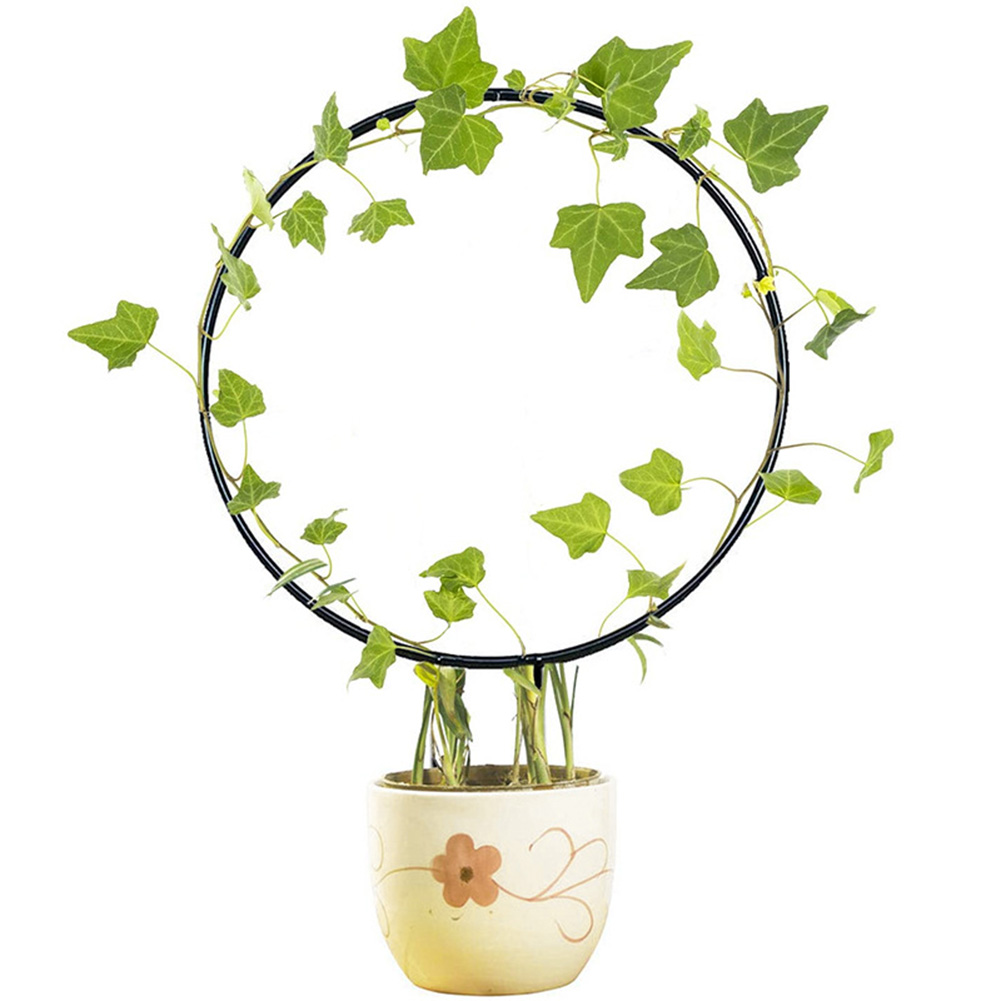 New-Metal-Iron-Round-Heart-Shaped-Garden-Plant-Support-Stake-Stand-For-DIY-Potted-Climbing-Plants-1