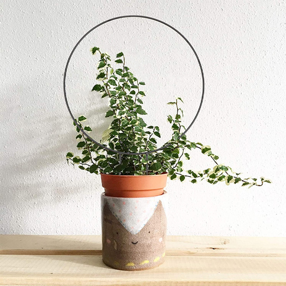 New-Metal-Iron-Round-Heart-Shaped-Garden-Plant-Support-Stake-Stand-For-DIY-Potted-Climbing-Plants-2